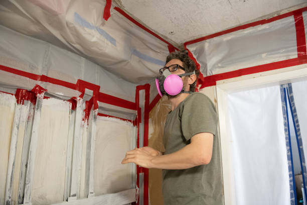 Best Commercial Mold Inspection  in Fairview Park, OH